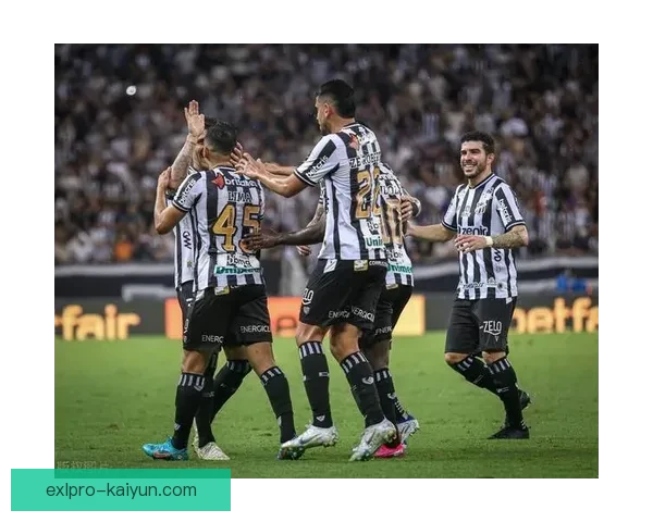 解放者杯奖金榜：赛事奖金分配及球队收益情况分析